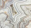 Polished, Crazy Lace Agate Slab - Mexico #60986-2
